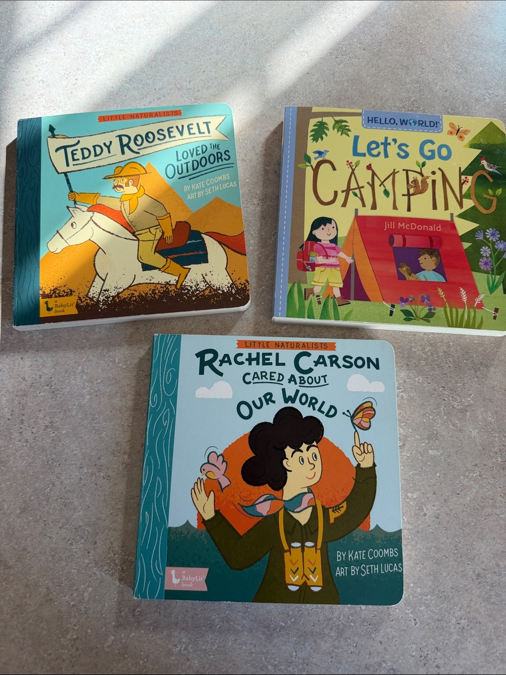 Rachel Carson Cared About Our World Board Book - Teal/Green